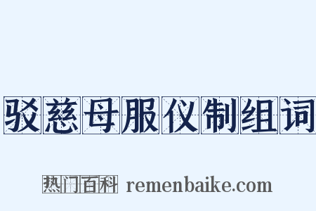 驳慈母服仪制组词是什么意思的图片